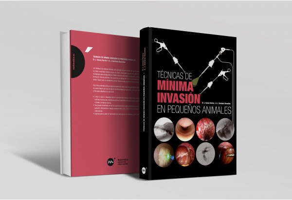 Técnicas de mí­nima invasión en pequeños animales -Libros de referencia veterinaria
