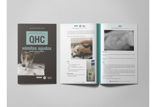 Revista QHC vómitos agudos -Que Hacer Con... veterinaria