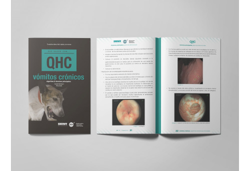 Revista QHC vómitos crónicos -Que Hacer Con... veterinaria