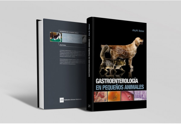Gastroenterologí­a en pequeños animales -Libros de referencia veterinaria