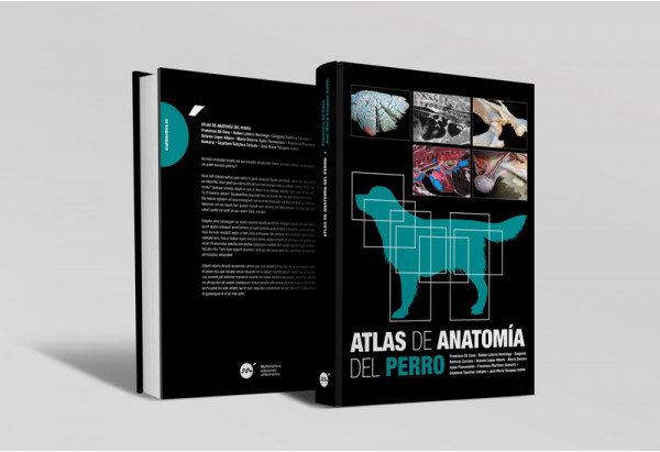 Atlas de anatomía del perro