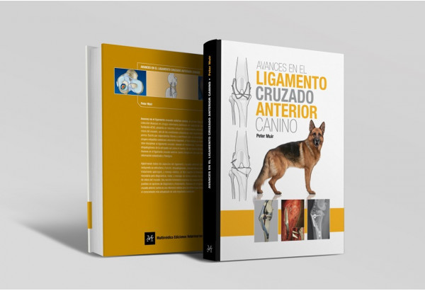 Avances en el ligamento cruzado anterior canino -Manuales prácticos veterinaria